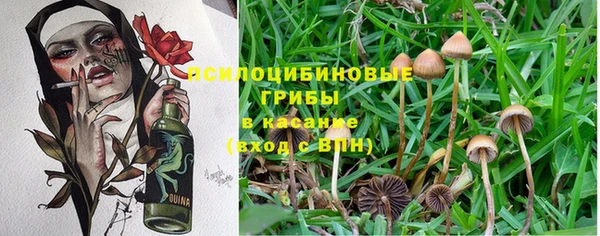 соль курить ск Няндома