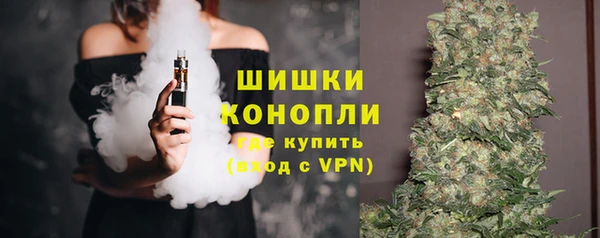 хмурый Новозыбков