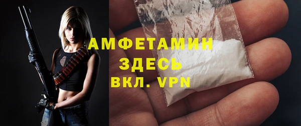 индика Новокубанск