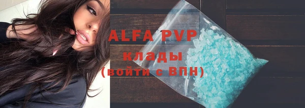 индика Новокубанск
