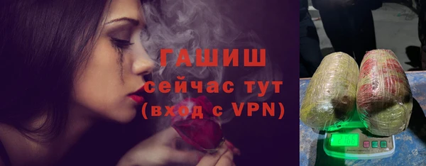 хмурый Новозыбков