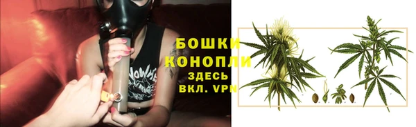 стафф Новодвинск