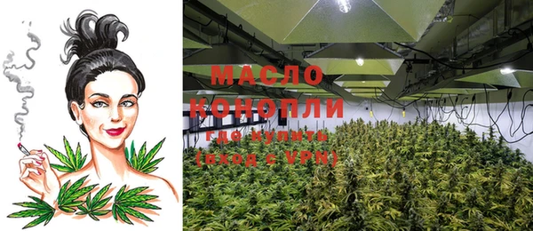 индика Новокубанск