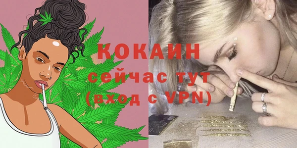 соль курить ск Няндома