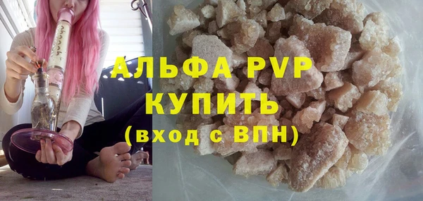 стафф Новодвинск