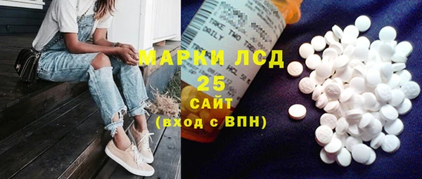 эйфоретик Чегем