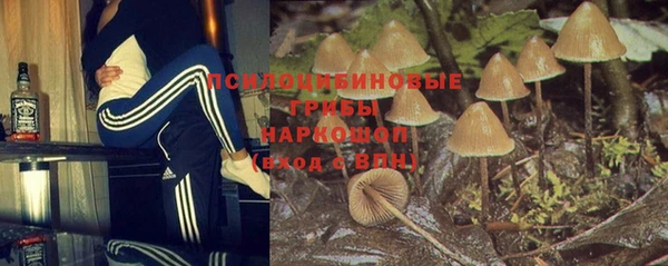 2c-b Нягань