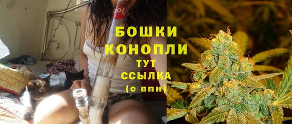 стафф Новодвинск