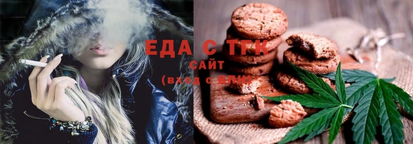 хмурый Новозыбков