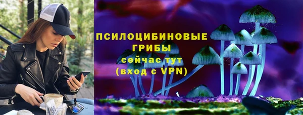 соль курить ск Няндома