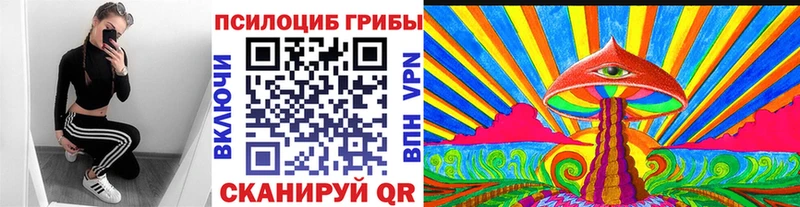 цена   Краснознаменск  Галлюциногенные грибы прущие грибы 