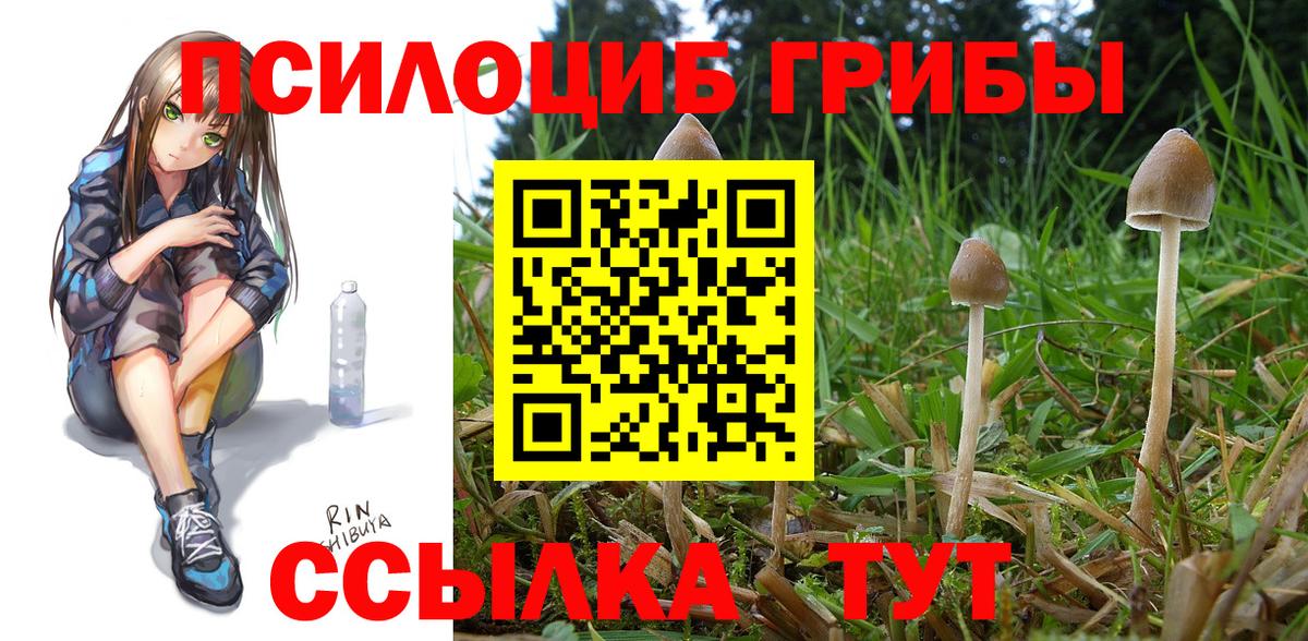 Галлюциногенные грибы GOLDEN TEACHER Краснознаменск